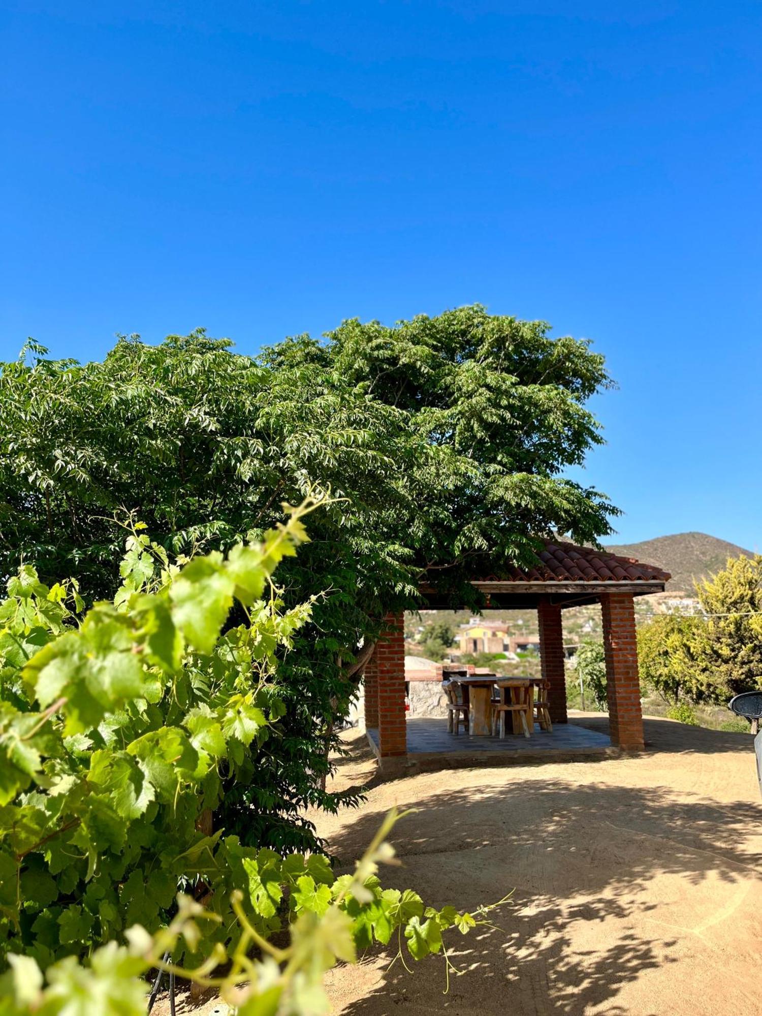 Cabanas Colibri Valle de Guadalupe Esterno foto